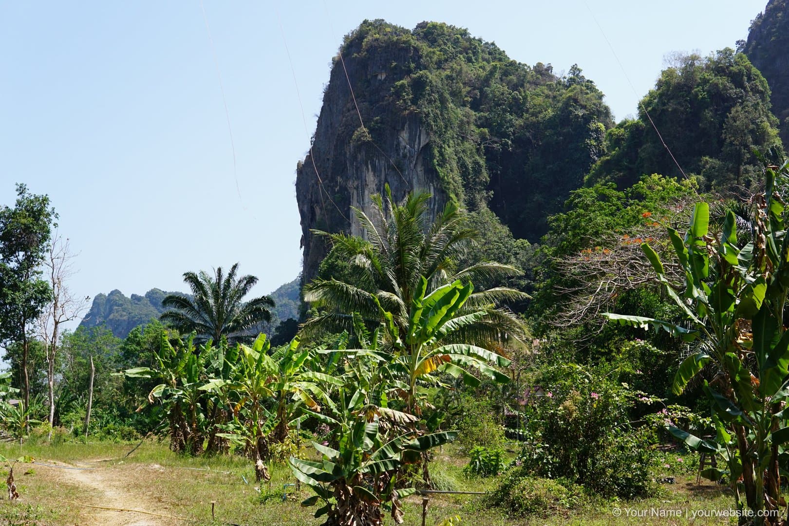 Lush tropical landscape