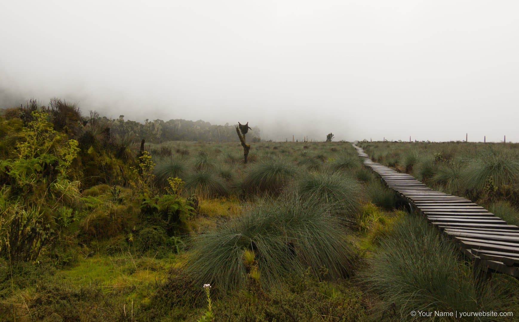 Muddy terrain after tropical rain